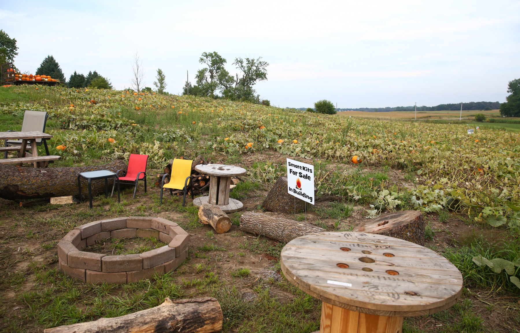 Plain Ol' Pumpkins - 9